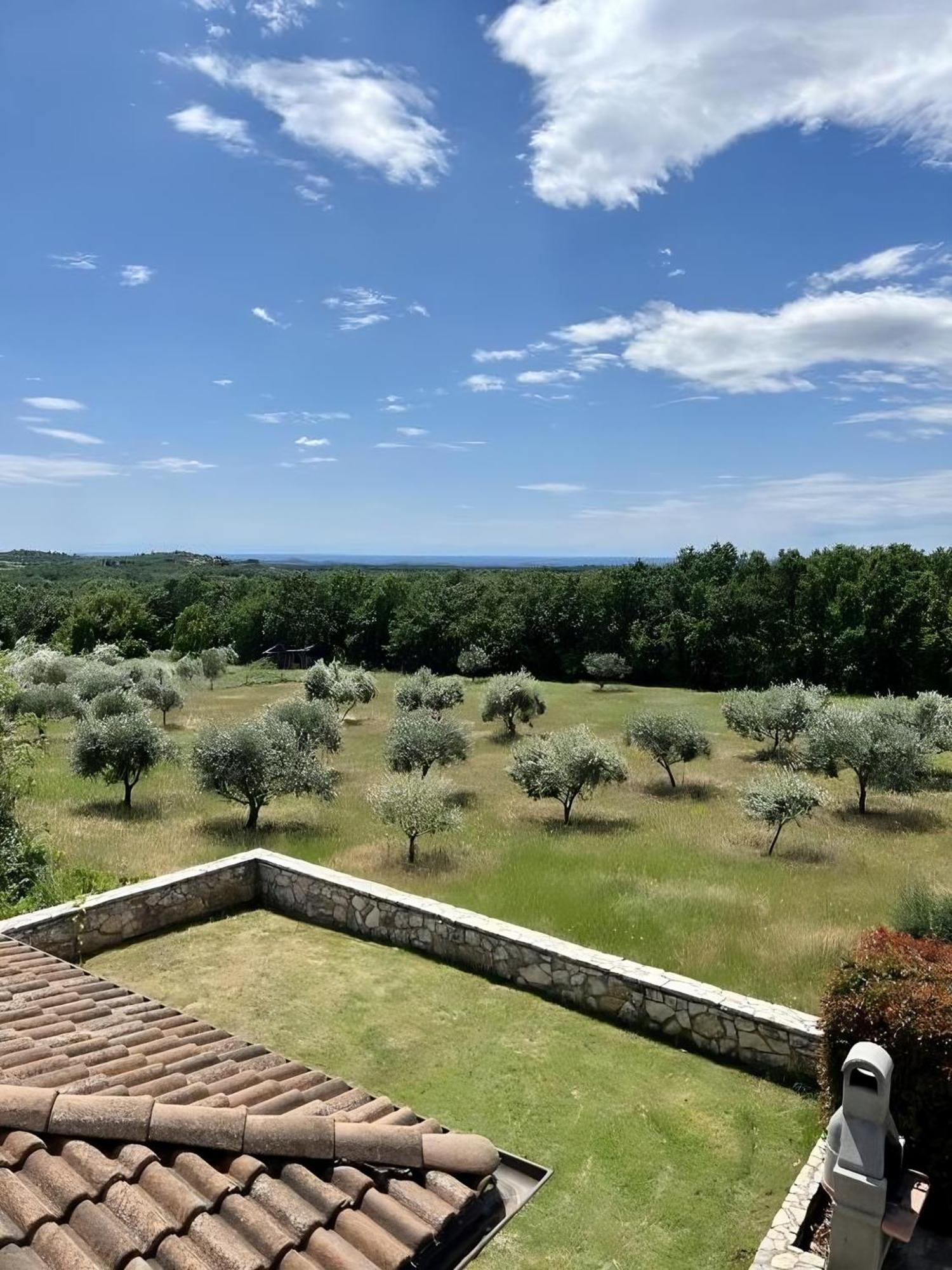 Villa Olivetta By Istrian Country Houses Barat  المظهر الخارجي الصورة